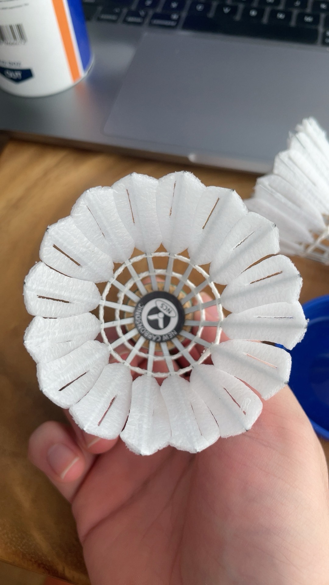 的净胜分持 的净胜分持